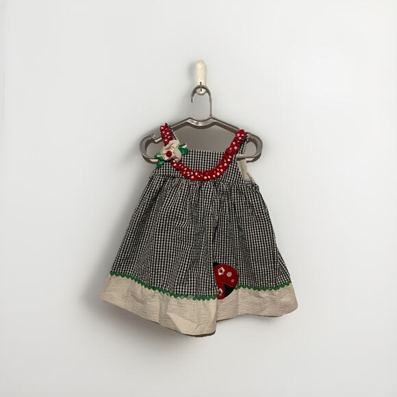 Rare Editions Too Baby Girls Ladybug Seersucker Checkered Dress size 2T Blue - Picture 1 of 4